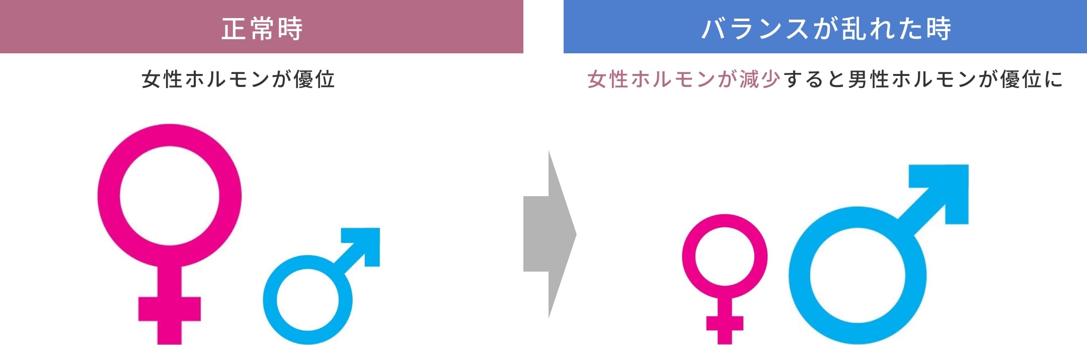 奈良県橿原市の女性の薄毛の原因